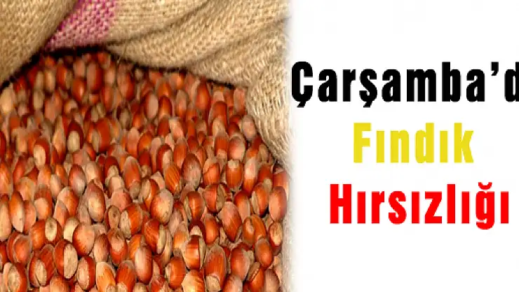 Fındık Hırsızlığına Gözaltı