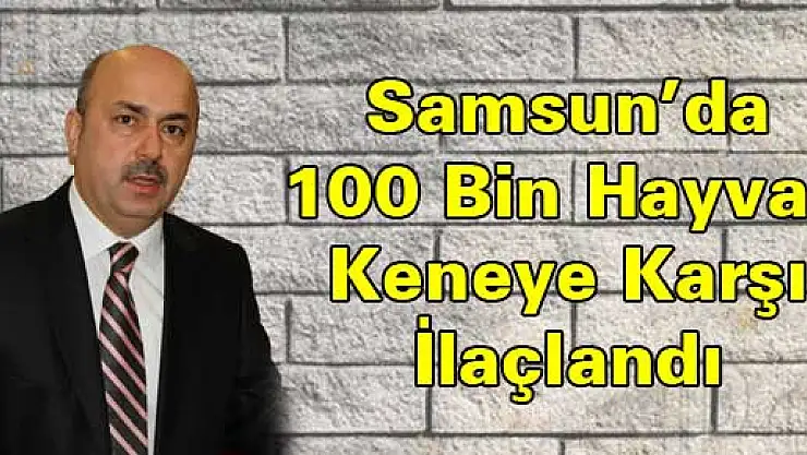 Samsun'da 100 Bin Hayvan Keneye Karşı İlaçlandı