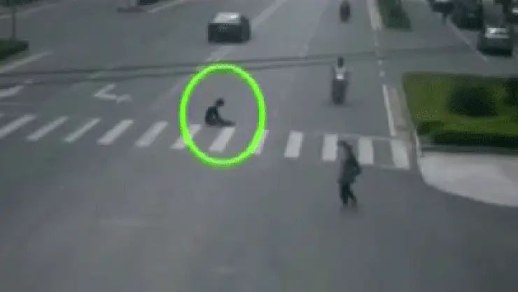 Yolun ortasında beklemesinin bir sebebi var!