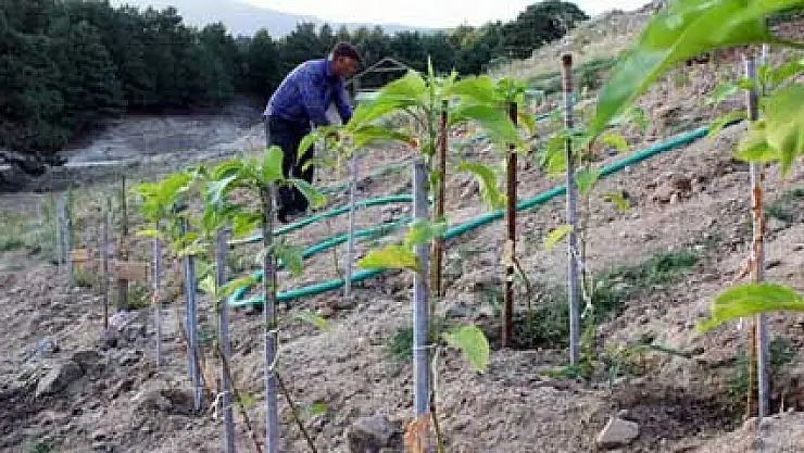 Erdoğan'a Kaz Dağları'ndan yerli tohum teşekkürü