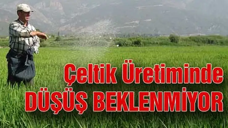 Çeltikte Ekim Dönemi