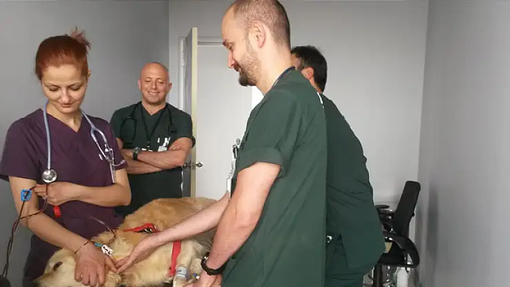 Hayvanlar da artık diyalize giriyor