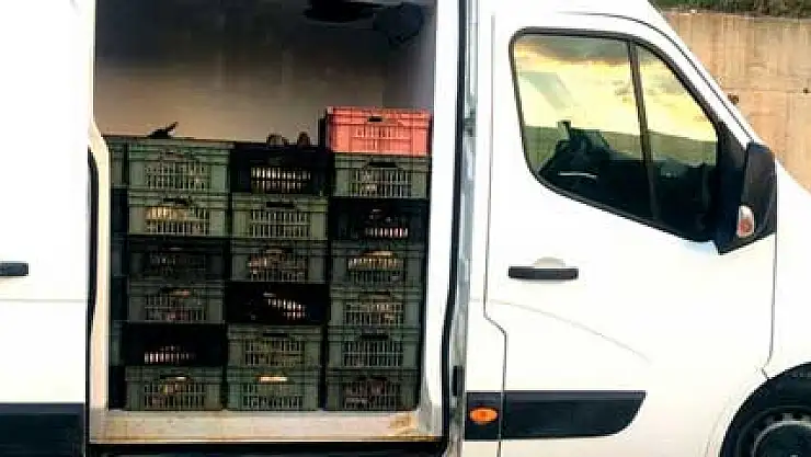 Kaçak avcılar barajı kuruttular!