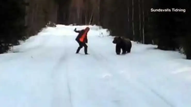 Avcı ayıyı korkuttu!