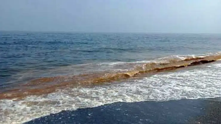 Karacabey sahili kızıla boyandı