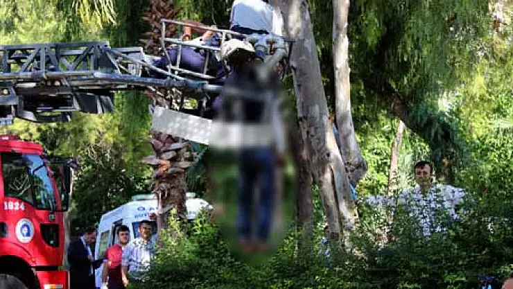 Ceset ağaçtan alınmak istenirken yere düşürüldü