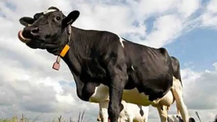 Üreticide 1 TL, Tüketiciye 3 TL