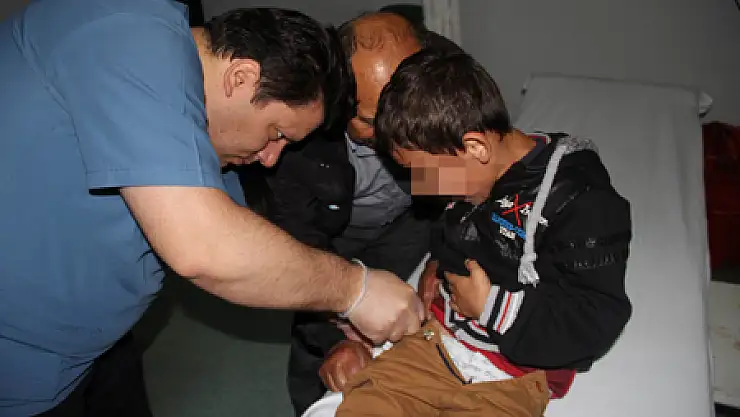 Kenenin Isırdığı Çocuk Hastaneye Kaldırıldı