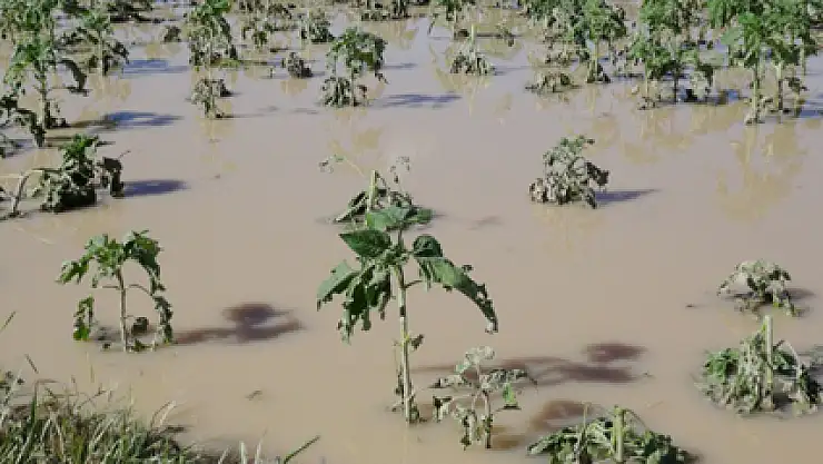 Çiftçiyi sel ve dolu vurdu