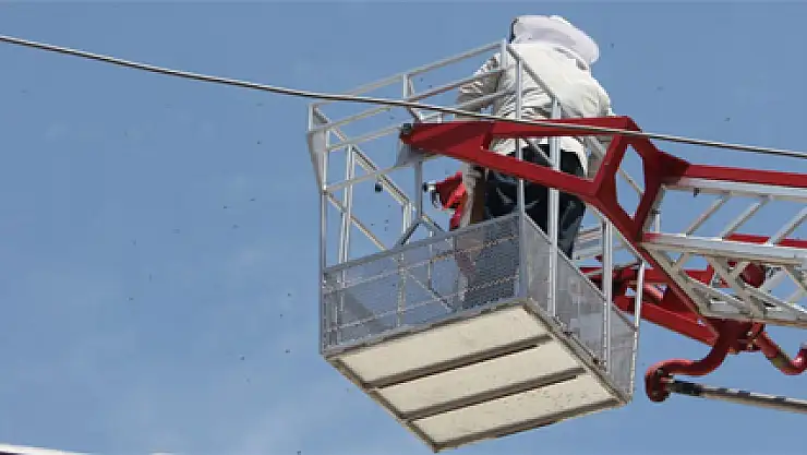 Cami saçağındaki arıları almak isterken şehri arılar bastı