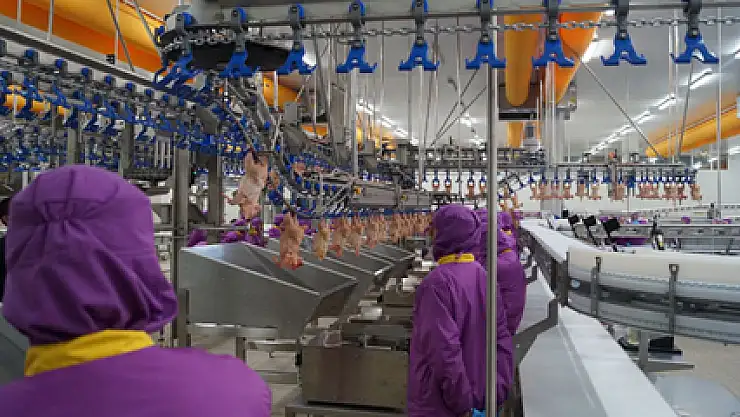 Kesilen tavuk ve hindi sayısı nisan'da arttı