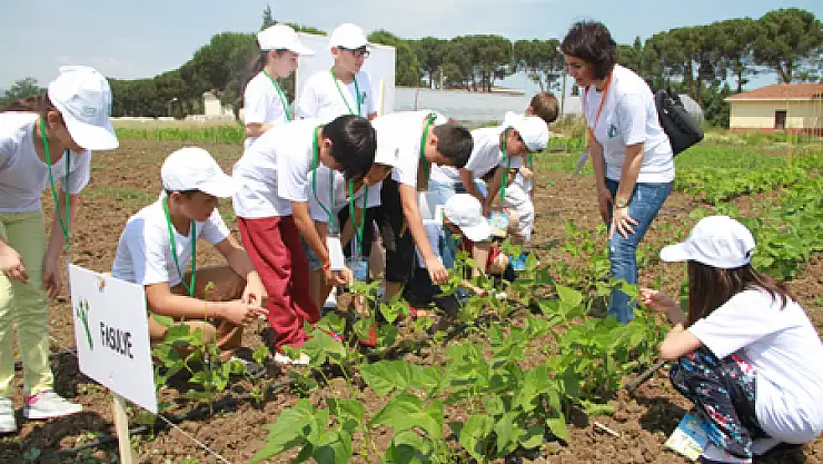 Z KUŞAĞI TARIMLA BULUŞUYOR 