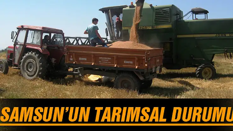 SAMSUN'UN TARIMSAL DURUMU 