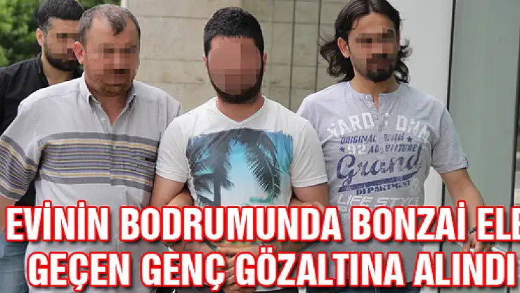 EVİNİN BODRUMUNDA BONZAİ ELE GEÇEN GENÇ GÖZALTINA ALINDI