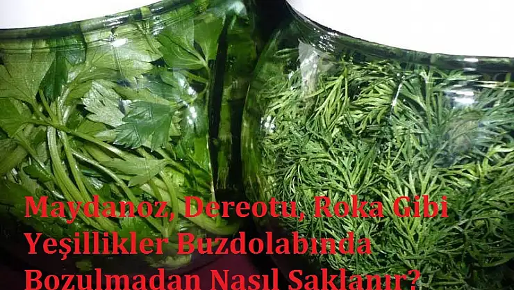 Maydanoz, Dereotu, Roka Gibi Yeşillikler Buzdolabında Bozulmadan Nasıl Saklanır?