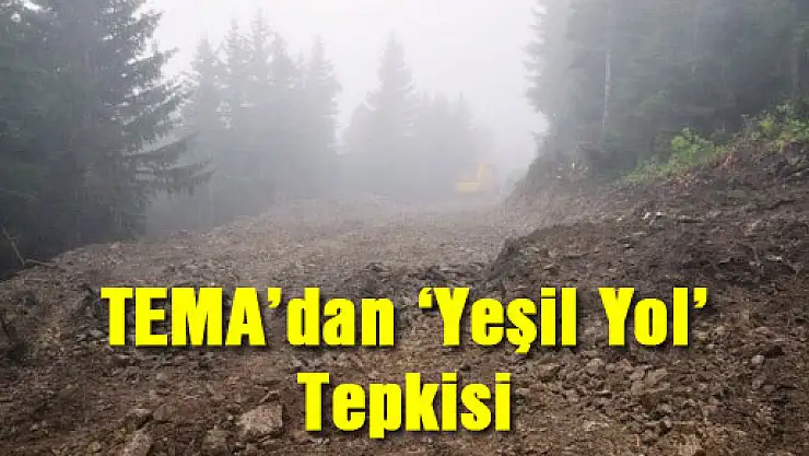 TEMA'dan 'Yeşil Yol' Tepkisi