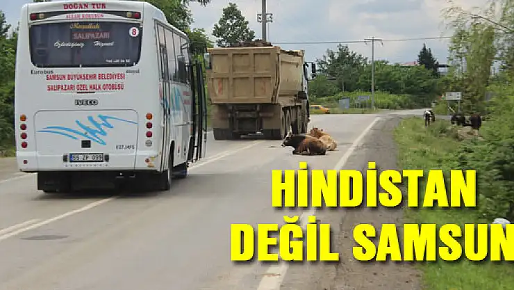 HİNDİSTAN DEĞİL SAMSUN