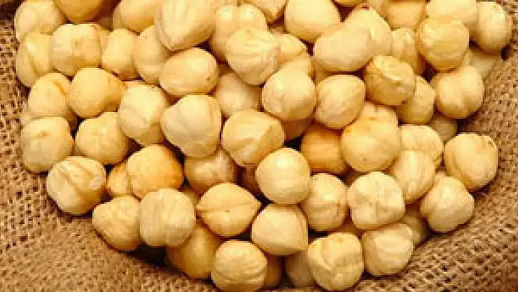 Fındıkta rekolte açıklaması