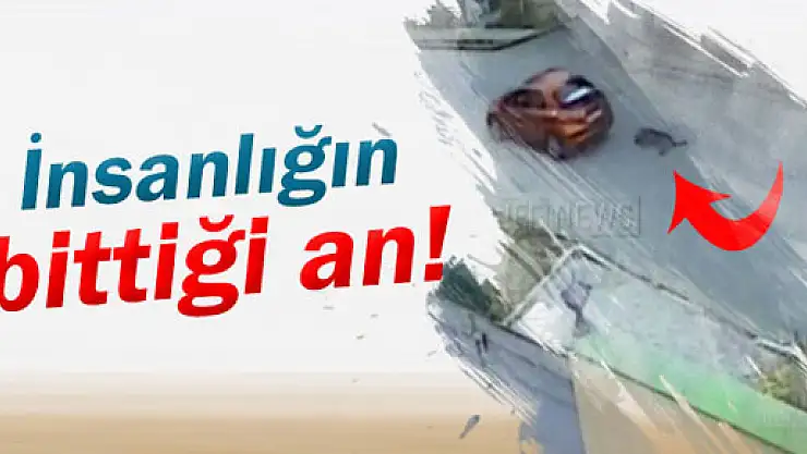 İnsanlığın bittiği an!