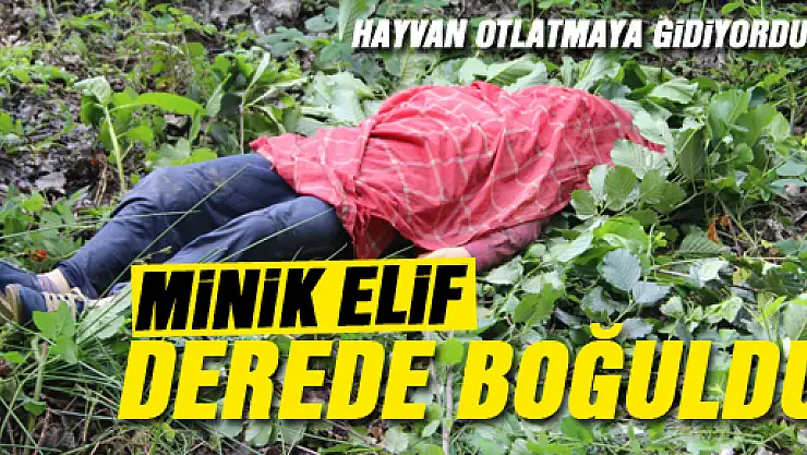 Hayvanları Otlatmaya Giderken…