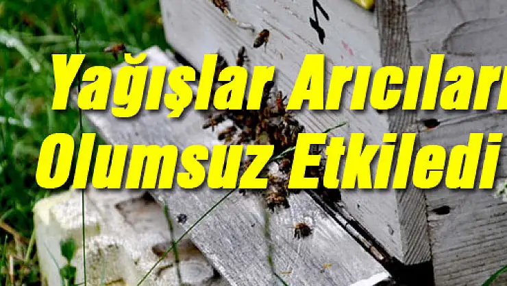 Yağışlar arıcıları olumsuz etkiledi