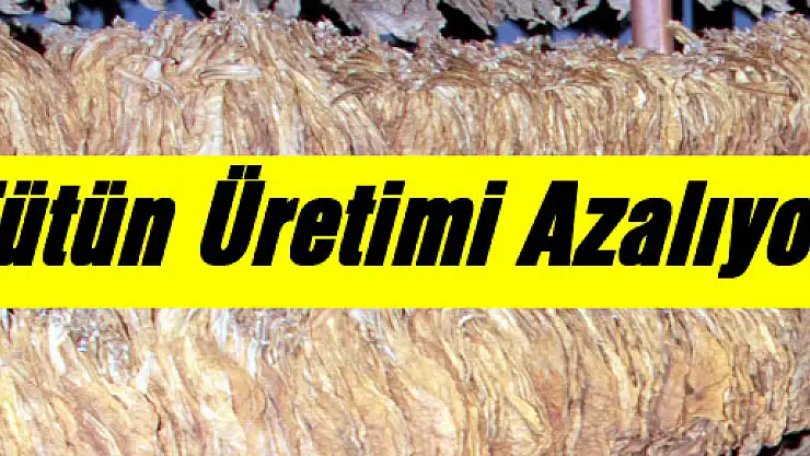 Tütün Üretimi Azalıyor
