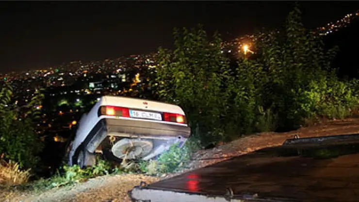 Eğer ağaç olmasaydı...