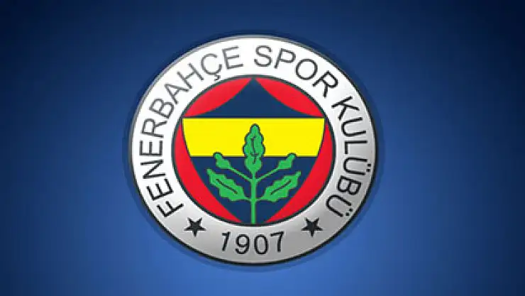 Fenerbahçe servet harcadı