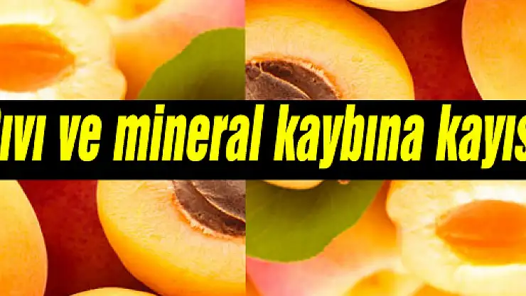 Sıvı ve mineral kaybına kayısı