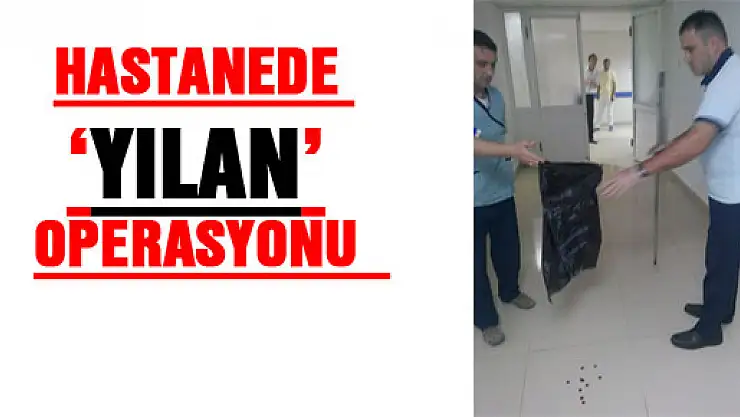 HASTANEDE 'YILAN' OPERASYONU