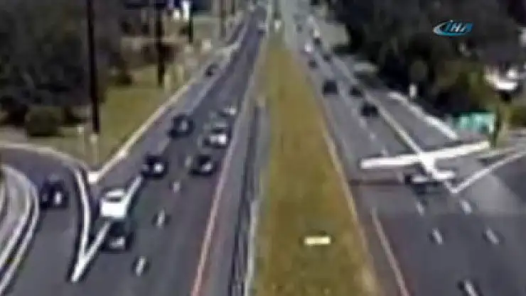 Otoyolda sürpriz konuk!