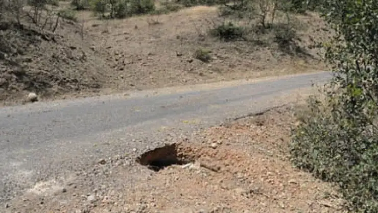 Tunceli'de hain tuzak son anda fark edildi