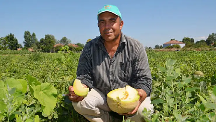 Kavun Üreticisi Fiyatlardan Şikayetçi