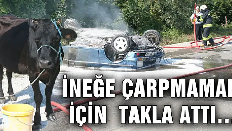 ÖNÜNE ÇIKAN İNEĞE ÇARPMAMAK İÇİN…