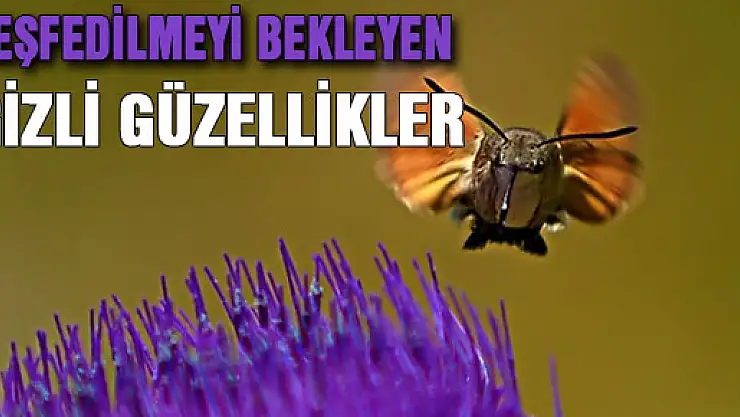 Uludağ'da gizli güzellikler