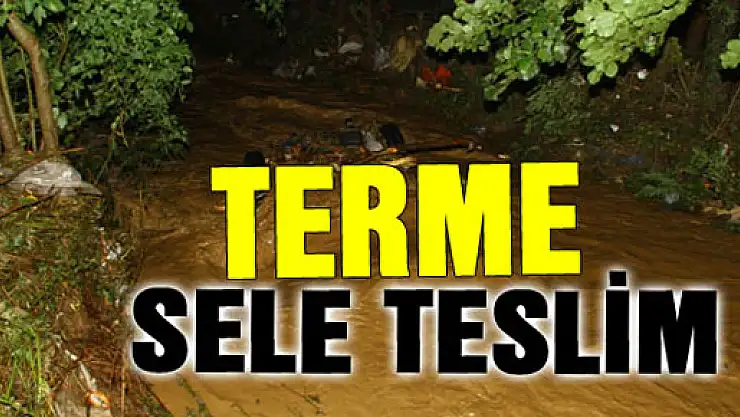  TERME SELE TESLİM
