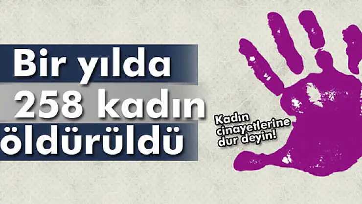 Bir yılda 258 kadın öldürüldü