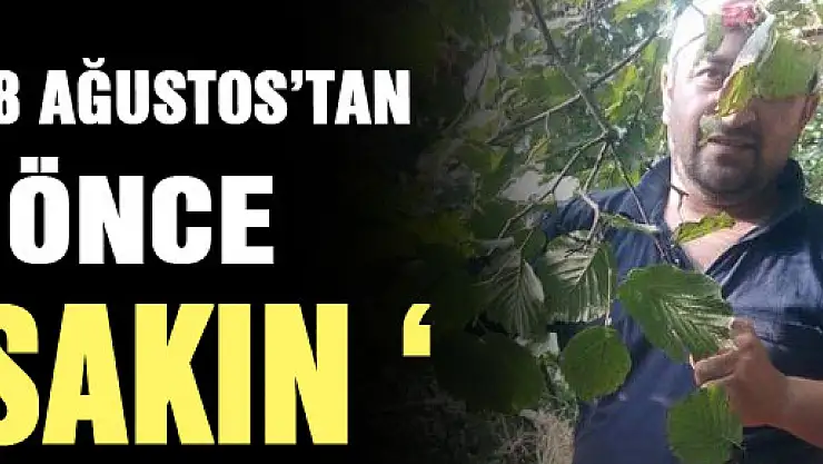 'Fındıkta 8 Ağustos'tan Önce Bahçeye Girmeyin' Çağrısı