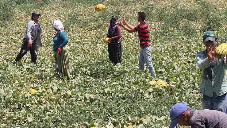 40 lira için 45 derecelik sıcakta ekmek parası