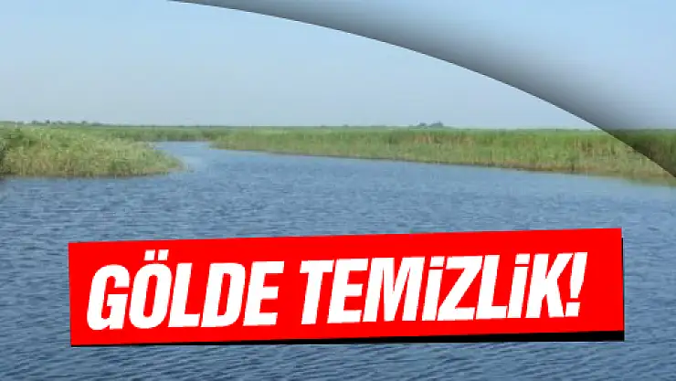 AKGÖL VE SİMENİT GÖLÜ'NDE 'AĞ TEMİZLİĞİ'
