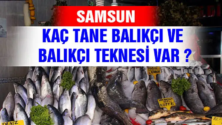 SAMSUN'DA 3 BİN 617 RUHSATLI BALIKÇI VE 470 TANE DE BALIKÇI TEKNESİ VAR 