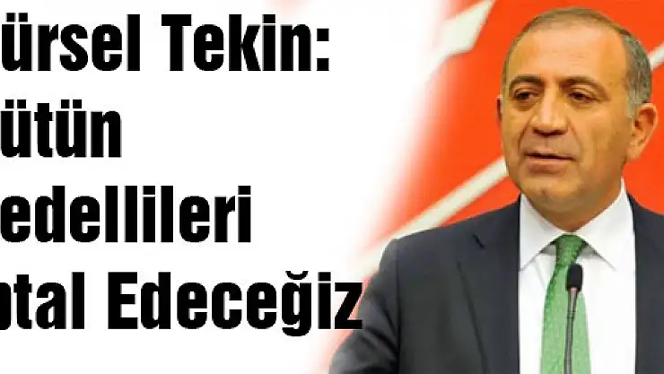 Gürsel Tekin: Bütün Bedellileri İptal Edeceğiz