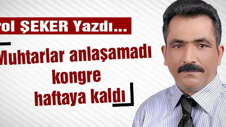 Muhtarlar anlaşamadı kongre haftaya kaldı