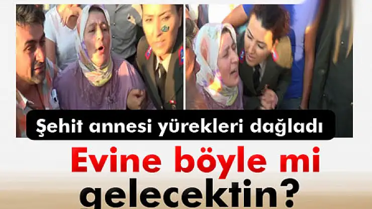 Şehit annesinin feryadı yürekleri dağladı