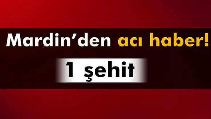 Mardin'de polis aracı devrildi: 1 şehit