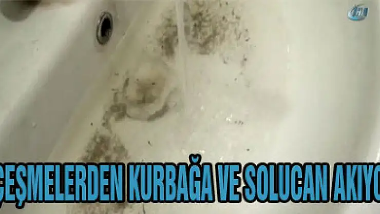 Çeşmelerden kurbağa ve solucan akıyor!