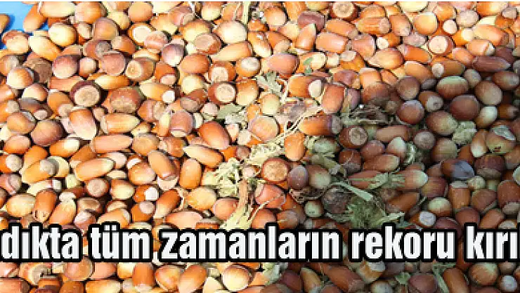 Fındıkta tüm zamanların rekoru kırıldı