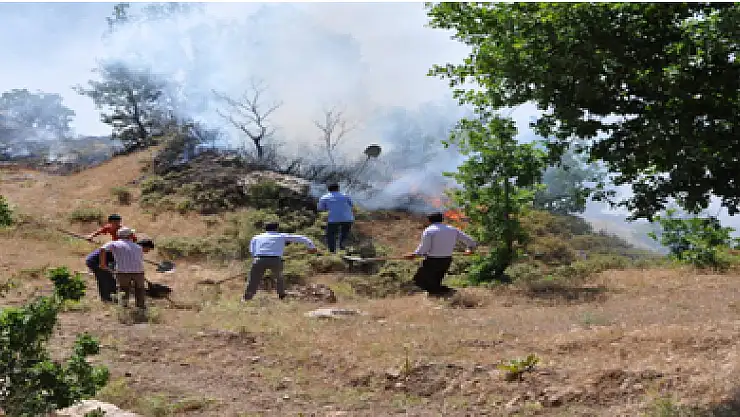 Arazi yangınını kürekle söndürdüler