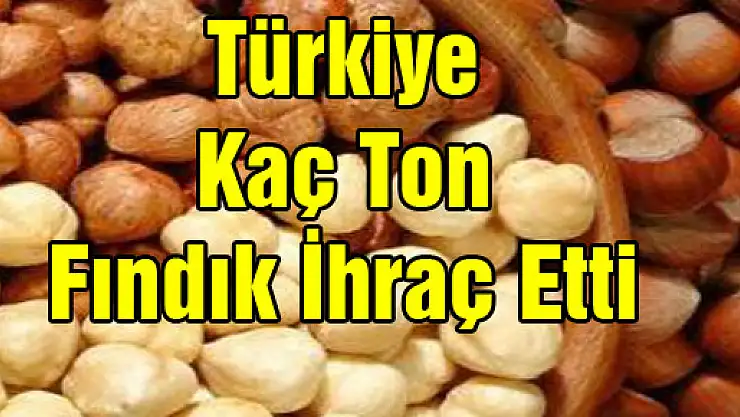Türkiye kaç ton fındık ihraç etti?