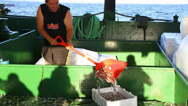 Samsun'da Balıkçılar 'Vira Bismillah' Dedi